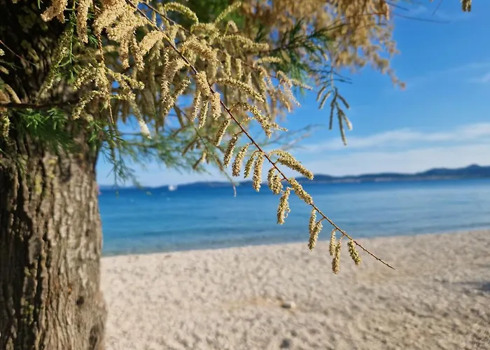 Tea Luxury Lägenhet